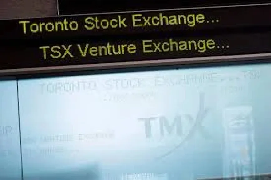 Rbc Stock Price Cut to $285 as Adobe Outlook Repriced