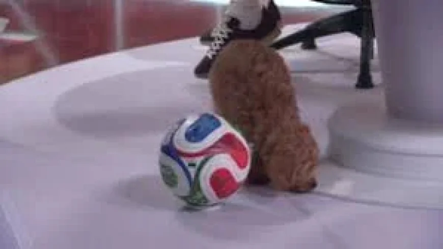 Spain Hold Cape Verde Goalless at 40 Minutes in World Cup 2026 — Cape Verde National Football Team Games