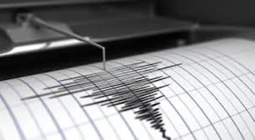 Saguenay quake of magnitude 2.8 felt west of Saint-Honoré