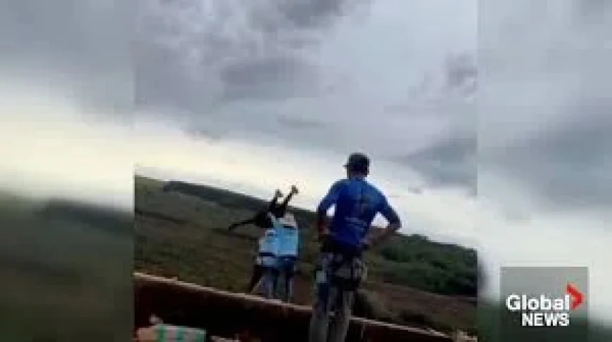 Six Arrested in Brazil After Skeleton Bridge Bungee Death — Bungee Jump Brazil