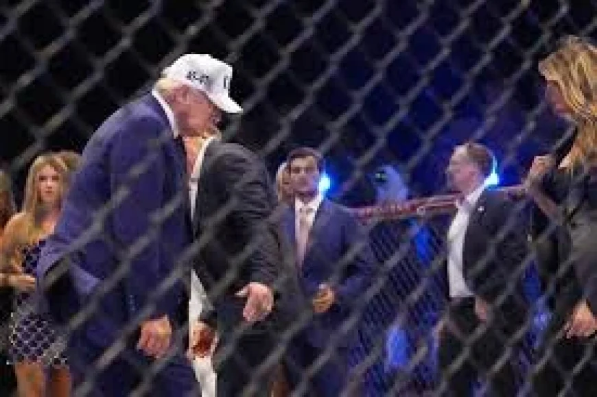 Dana White rejects another White House night — Ultimate Fighting Championship