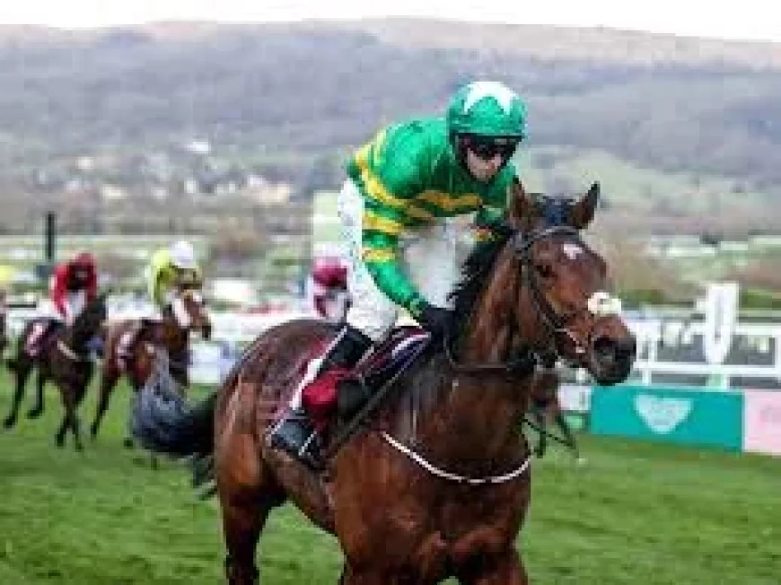Tom Segal backs Joseph O'brien to match Aidan O'Brien