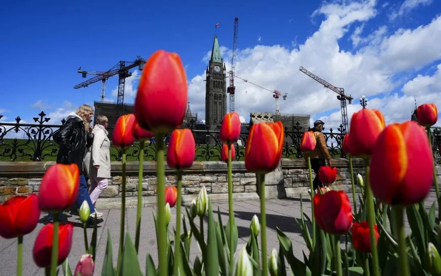 Statistics Canada Reports Canada's Population Fell 55,000 in Q1 2026