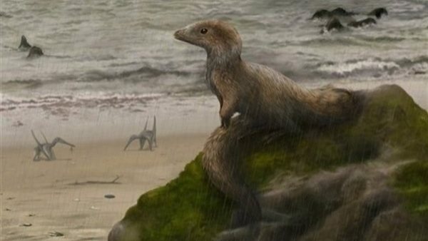 بالصور.. 5 أساطير غير علمية عن الديناصور