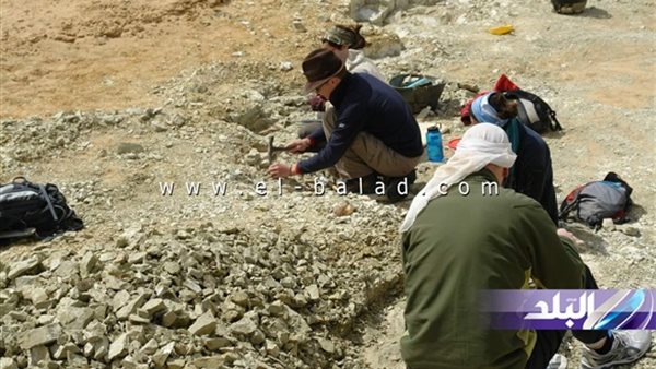 بالصور.. جبل "النقلون" بالفيوم شاهد على تاريخ وقدسية المكان.. وحفائر لـ"فيل" عمره 45 مليون سنة بـ"قطراني"