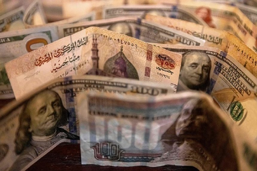 الدولار يسجل مستويات جديدة لأول مرة في مصر