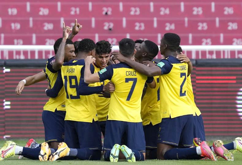 تشكيل منتخب الإكوادور أمام هولندا في كأس العالم 2022 - بوابة البلد