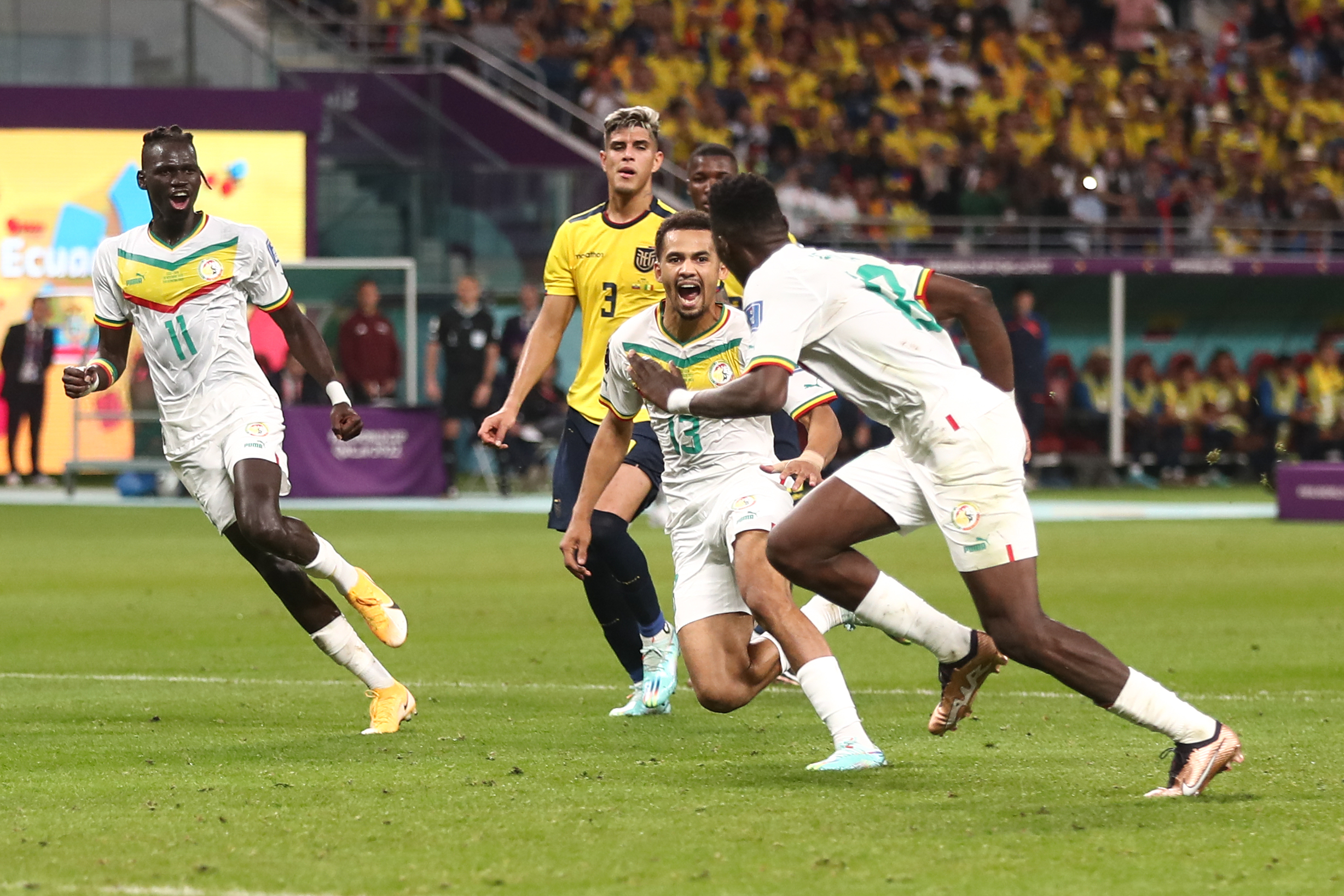 كيف احتفل ساديو ماني بتأهل السنغال إلى ثمن نهائي كأس العالم قطر 2022؟ - بوابة البلد