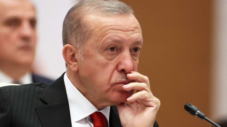 أردوغان يصف العودة إلى 'صفقة الحبوب' بأنها 'نجاح دبلوماسي'