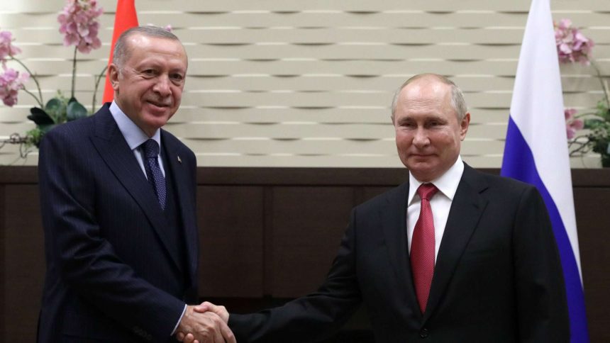 أردوغان يعلق على قرار بوتين المشاركة في قمة العشرين