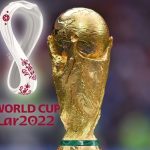 الحكومة المصرية تصدر قرارا بشأن كأس العالم في قطر