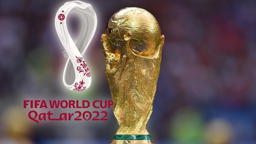 الحكومة المصرية تصدر قرارا بشأن كأس العالم في قطر