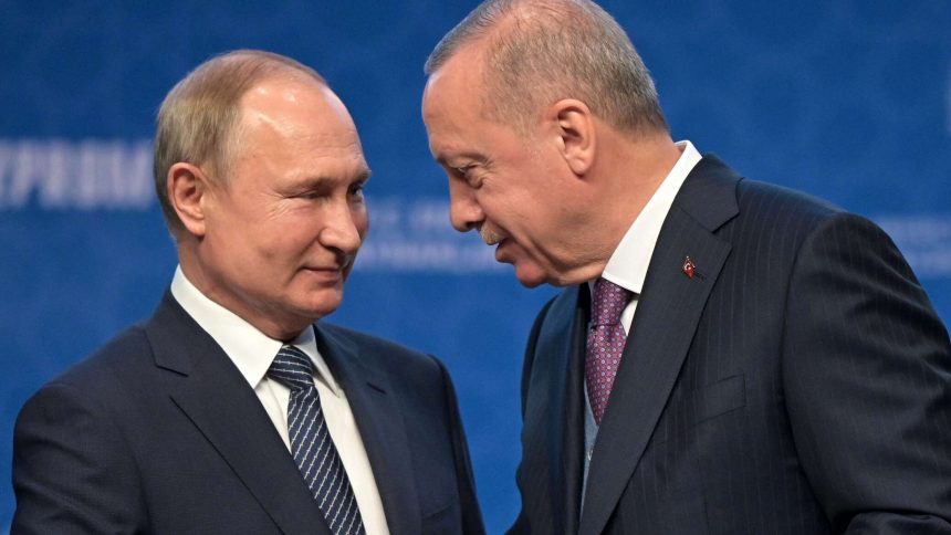 أكد بوتين لأردوغان استعداد روسيا لتزويد إفريقيا بكميات كبيرة من الحبوب والأسمدة مجانًا