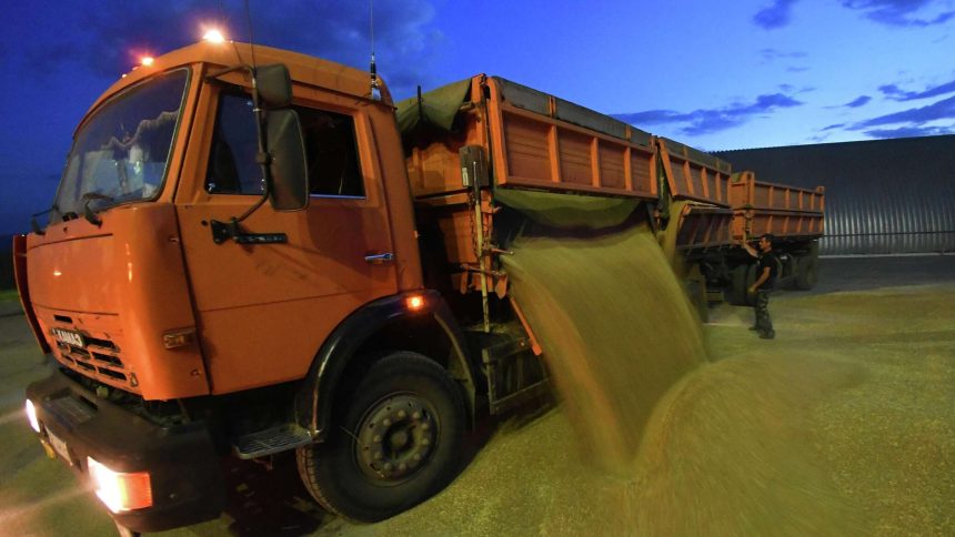 الأمم المتحدة: العالم بحاجة إلى الحبوب والأسمدة من روسيا رغم كل شيء