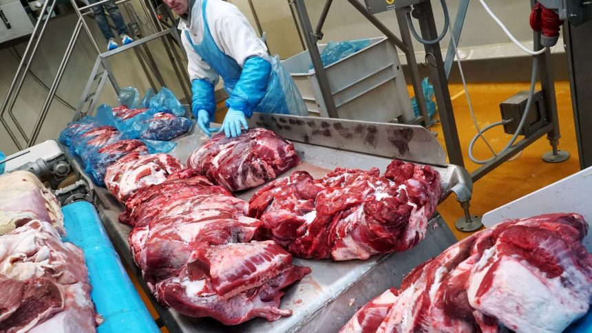 المملكة العربية السعودية توسع قائمة موردي لحم الضأن والحليب الروسيين