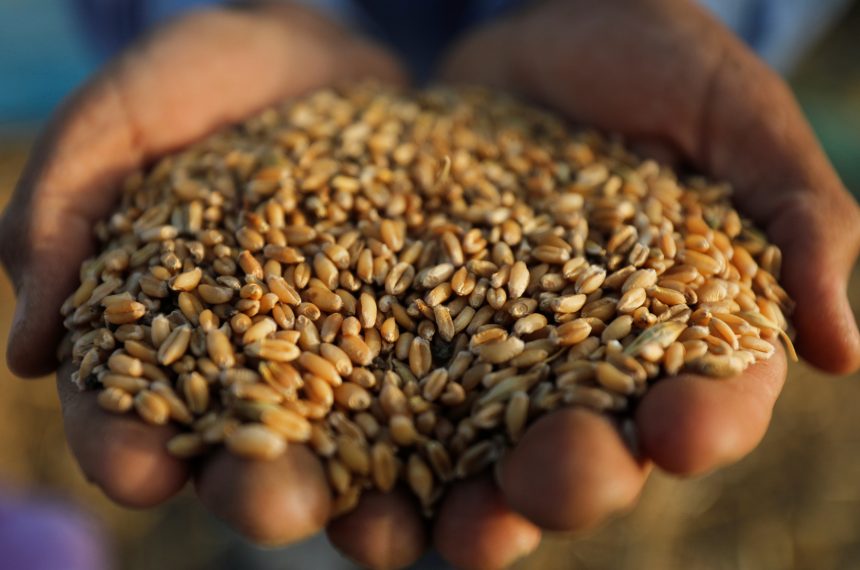بيان رسمي يكشف أموال ضخمة دفعتها لمصر لاستيراد القمح