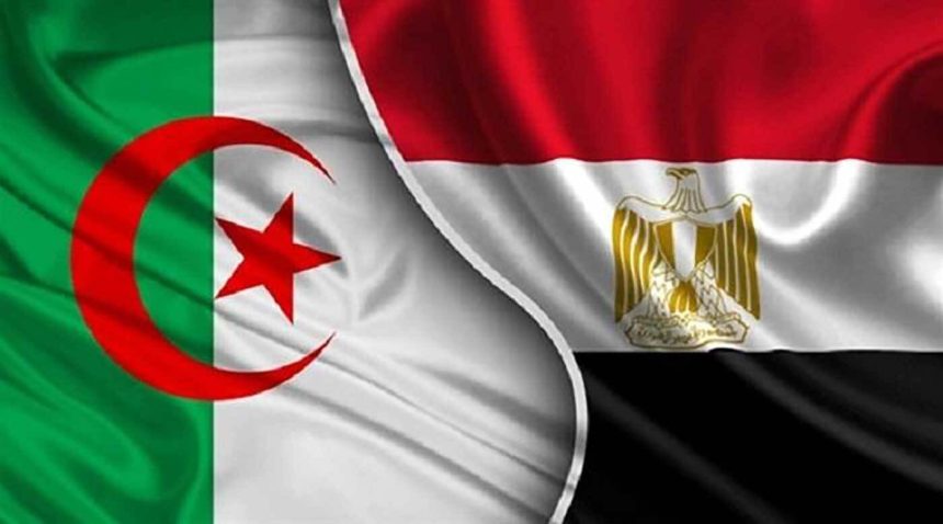 مصر والجزائر تتجهان للتعاون في قطاع جديد