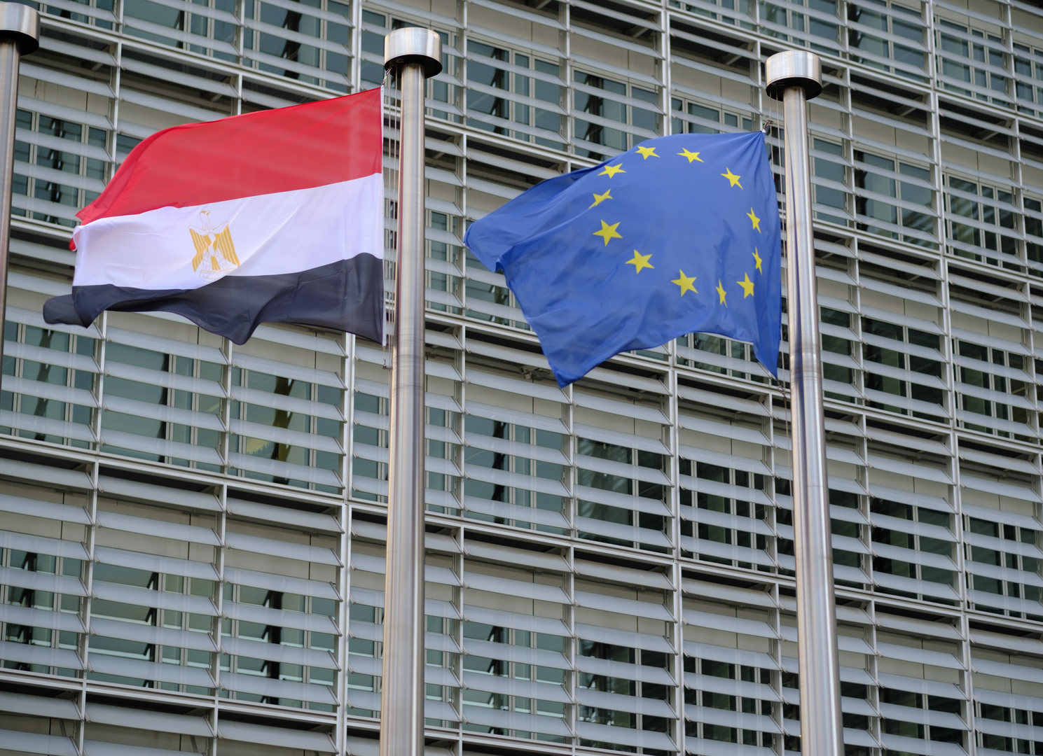 عضو بمجلس الشيوخ المصري لـRT: بيان البرلمان الأوروبي  بخصوص مصر حافل بالأكاذيب والمغالطات