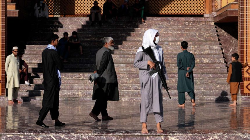 قُتل 5 عناصر من تنظيم الدولة الإسلامية في اشتباك مع قوات طالبان غربي أفغانستان