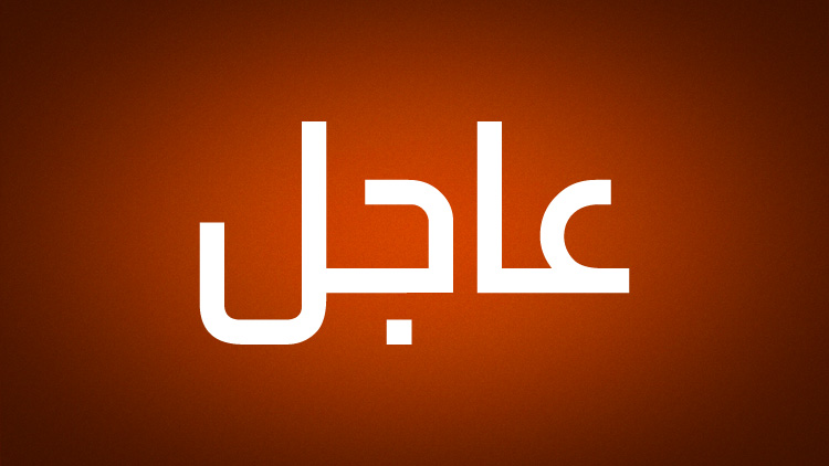 مصر.. مصرع 14 شخصا في حادث تصادم سيارة نقل مع حافلة ركاب بمحافظة الوادي الجديد