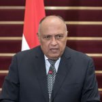 وزير الخارجية المصري يكشف سبب إثارة قضية علاء عبد الفتاح