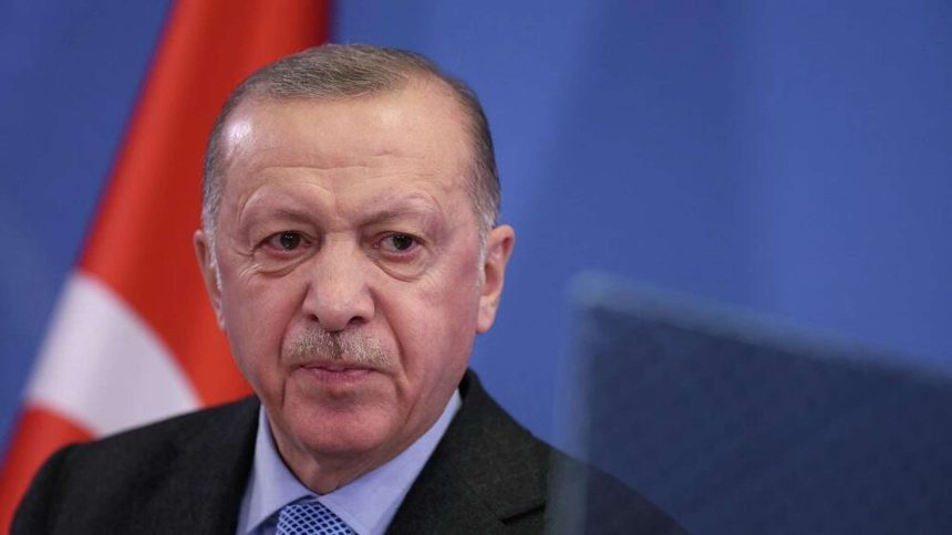 يشكر أردوغان بوتين على مساهمته في توسيع اتفاقية "الحبوب"