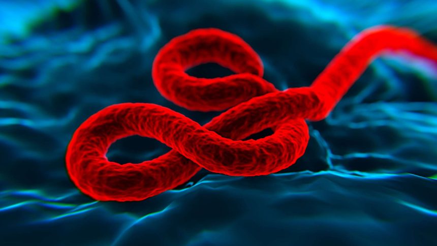 يعتقد عالم أمريكي أن فيروس إيبولا تسرب من مختبر تموله الولايات المتحدة