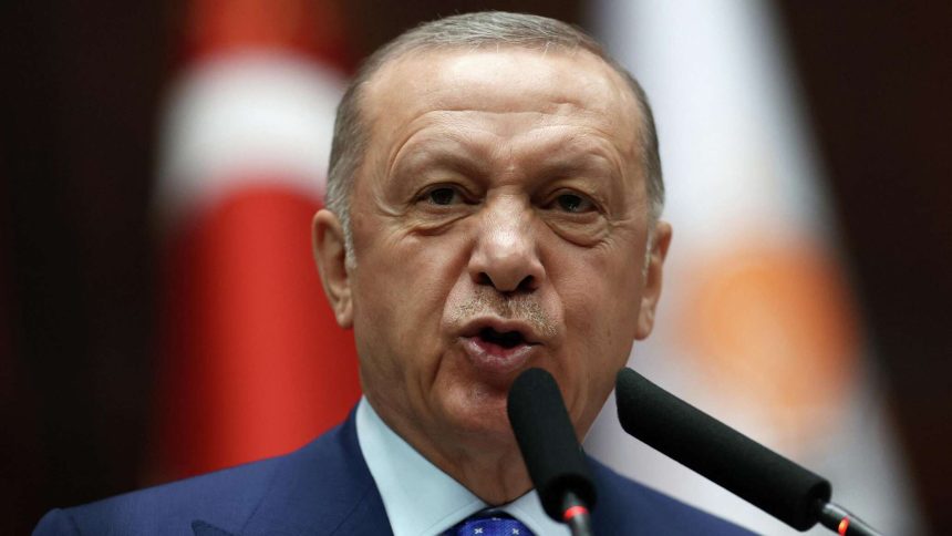 أردوغان: الوضع الراهن في العلاقات التركية الأوروبية ليس في مصلحة الطرفين