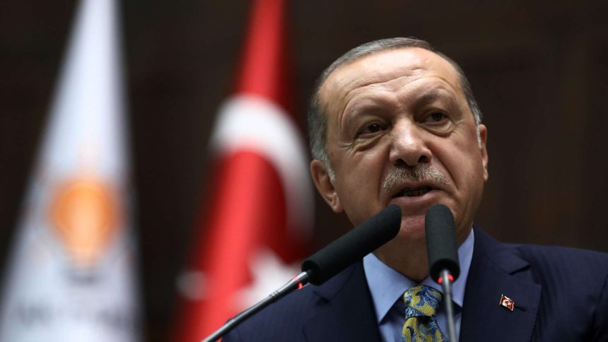 أردوغان يبحث مع "غازبروم" توريد الغاز وإنشاء مركز غاز في تركيا
