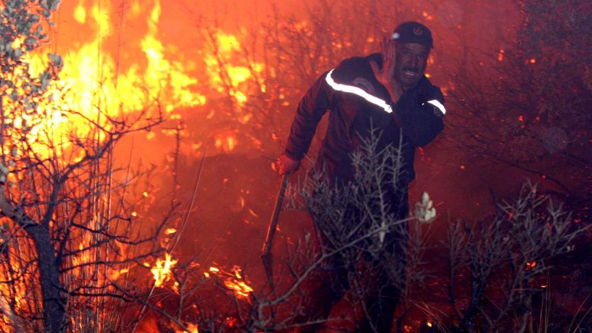 ارتفع عدد المصابين في حرائق تشيلي إلى 67