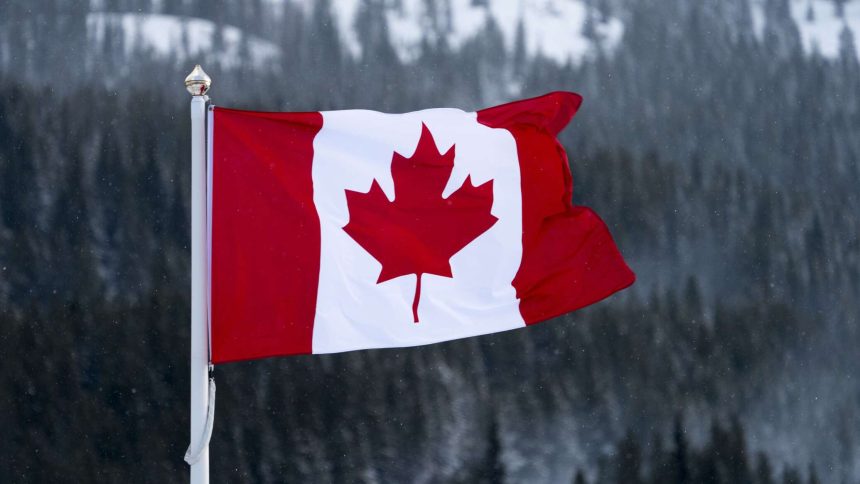 تأمل كندا في تأمين الإفراج عن 19 امرأة وطفل من مواطنيها المحتجزين في سوريا.