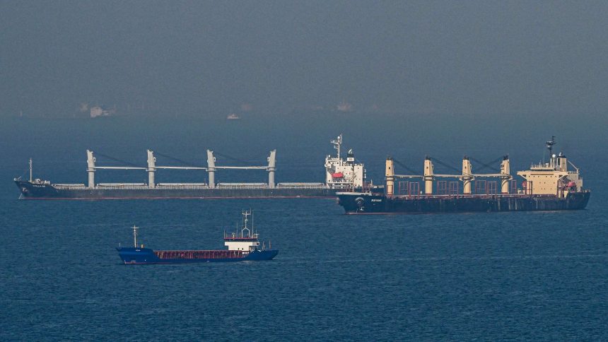 تركيا تحتجز سفن شحن روسية للتحقق من تأمين الناقلات