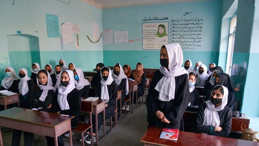 قررت حركة طالبان حظر التعليم الجامعي للفتيات في أفغانستان