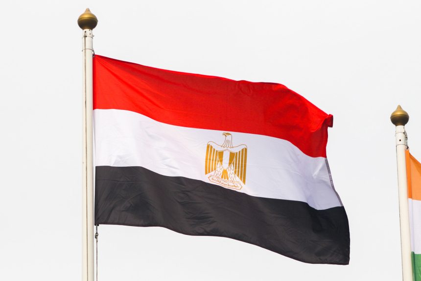لماذ قررت مصر رفع الفائدة 3% دفعة واحدة؟