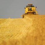ناسا: روسيا حصدت 5.8 مليون طن تقريباً من القمح الأوكراني