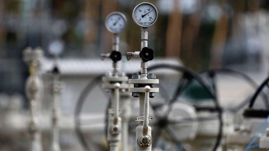 وتعارض ألمانيا والمجر وسبع دول أخرى إنهاء سعر الغاز الروسي