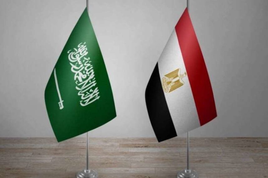 شركة سعودية تستعد لافتتاح مصنع ضخم في مصر