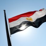 صور صادمة لنفوق مئات الدواجن في مصر