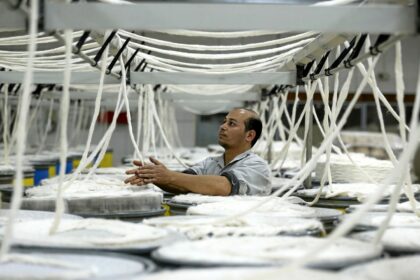 مصر تستعد لتدشين أكبر مصنع من نوعه في العالم