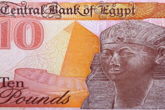 البنك المركزي المصري يقرر تثبيت سعر الفائدة