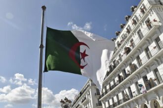 الجزائر: طائرات خاصة لتصدير الخضار والفواكه لدول الخليج