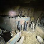 مصر.. إعدام مقبرة أثرية بعد تعرض الآثار لأكبر عملية نصب
