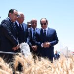 مصر تتفوق على السعودية في أكبر مزرعة تمور بالعالم