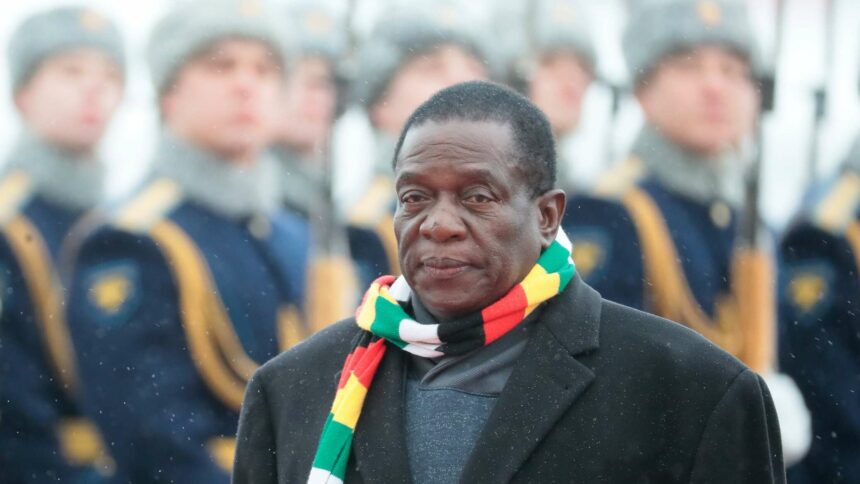 زيمبابوي تستدعي دبلوماسية أمريكية متهمة إياها بالتدخل في الانتخابات