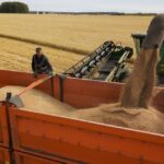 مصر تتحدث عن أزمة القمح بعد انسحاب روسيا من صفقة الحبوب