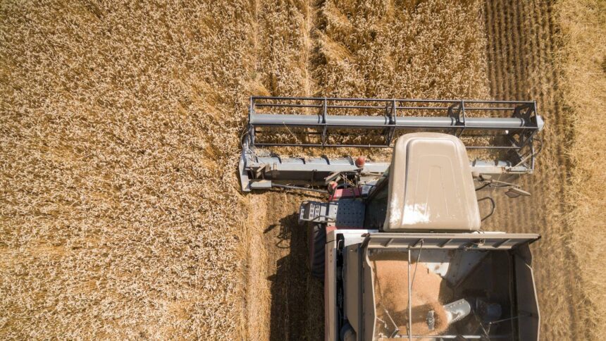 خمس دول أوروبية تطلب مرة أخرى حظر واردات الحبوب الأوكرانية