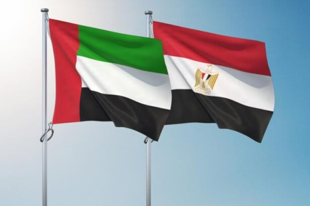 مصر تسعى للحصول على قرض جديد من الإمارات