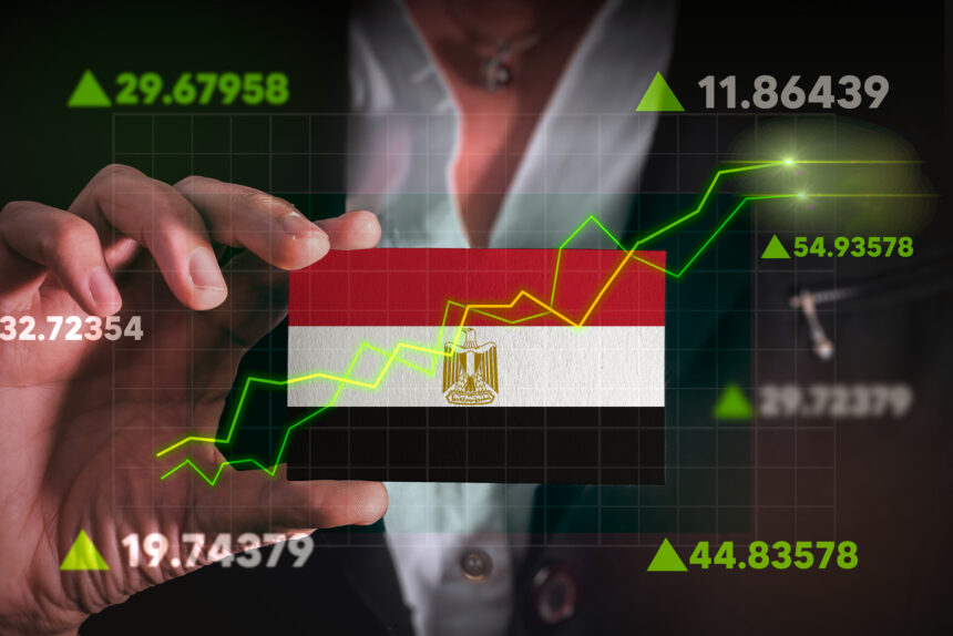 مصر تؤسس أول بورصة من نوعها في البلاد.. ما الأسباب؟
