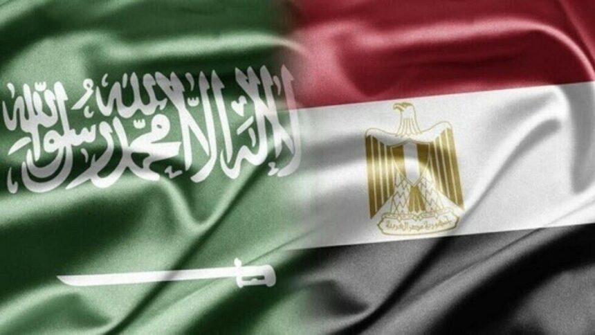 مصر تنشئ شركة ضخمة في السعودية