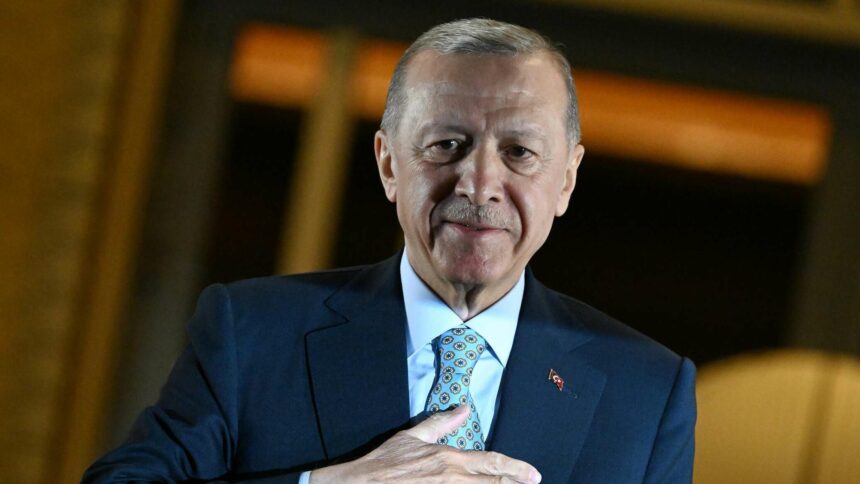 أردوغان يبلغ زيلينسكي باستعداد تركيا للعب دور الوسيط في إحلال السلام في أوكرانيا